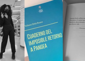 “Cuaderno del imposible retorno a Pangea”: ¿qué hay detrás del retorno?