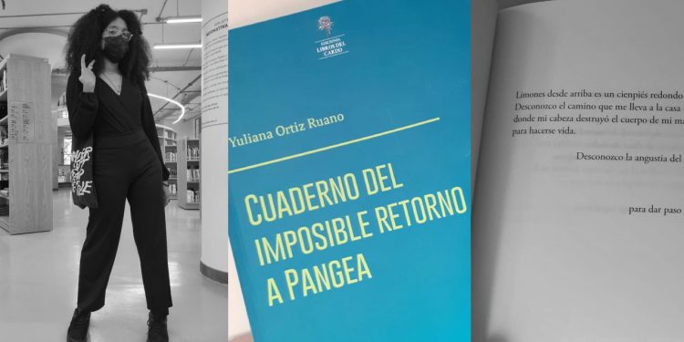 “Cuaderno del imposible retorno a Pangea”: ¿qué hay detrás del retorno?