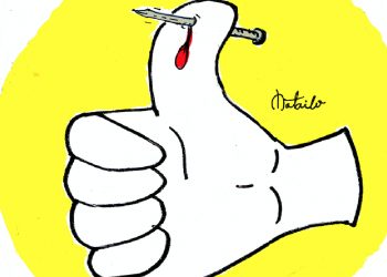 El rincón de Matailo #2