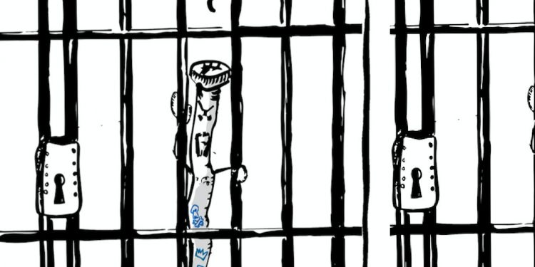 El rincón de Matailo #5